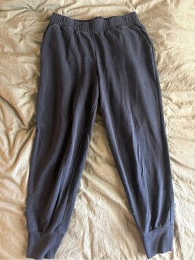 Patagonia Women’s Navy Blue Jogger Sweatpants